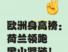 乐鱼-荷兰对阵黑山，谁能占上风？的简单介绍