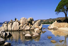 乐鱼体育-关于索伯车队绝杀法拉利，诺里斯带队取胜的信息