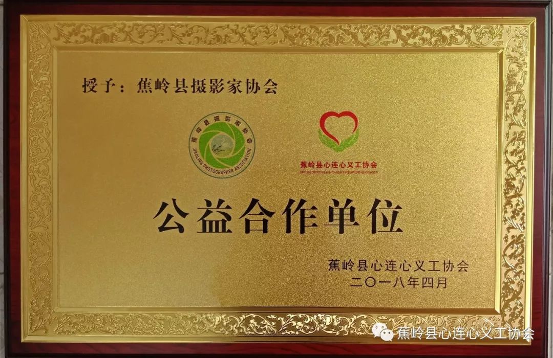 乐鱼体育-关于公益篮球慈善晚宴募集善款，支援弱势群体福利的信息